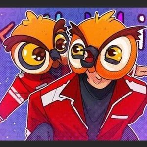 Meet your Posher, Ally